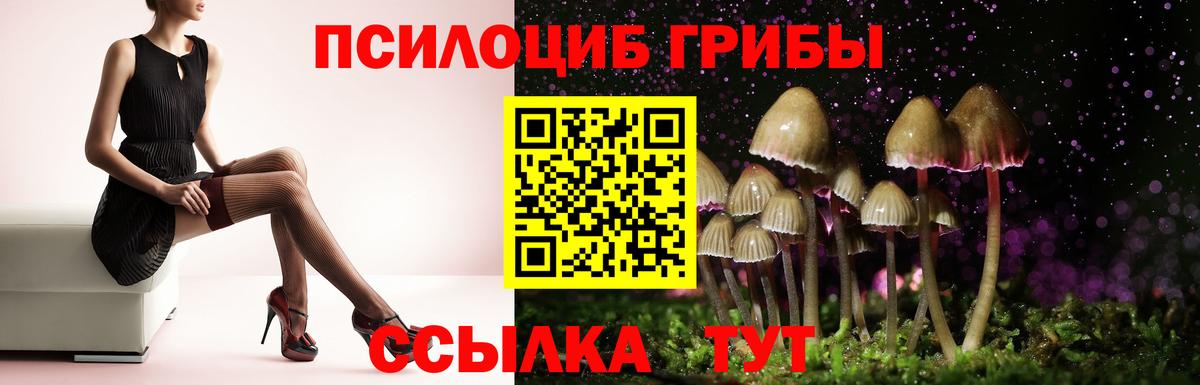 Октябрьский  даркнет сайт  Псилоцибиновые грибы прущие грибы  Вход с VPN  Псилоцибиновые грибы мицелий 